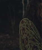 AGVP-CP084.jpg