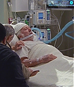 AGVP-TMS433.jpg