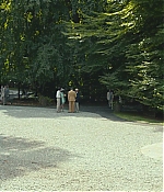 AGVP-TWW309.jpg