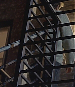 AGVP-GP195.jpg