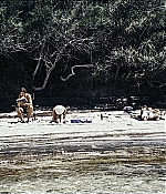 AGVP-001.jpg
