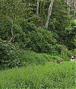 AGVP103-041.jpg
