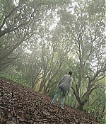 AGVP106-082.jpg
