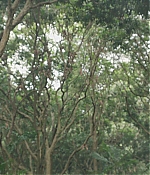 AGVP106-107.jpg