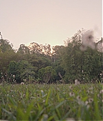 AGVP106-161.jpg